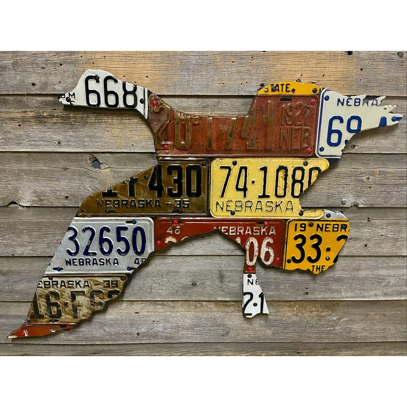 Nebraska Goose License Plate Art