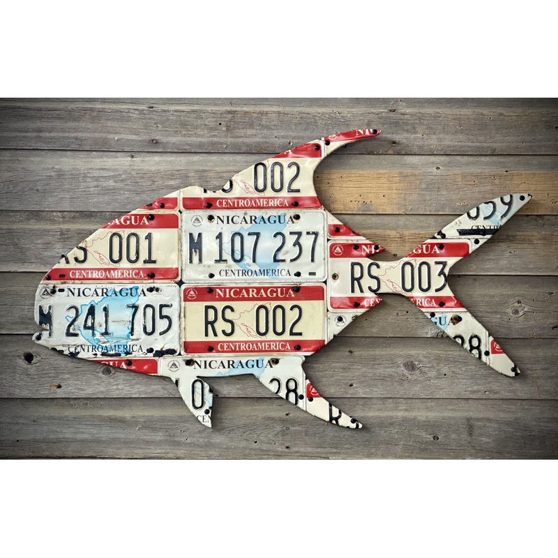 Nicaragua Permit License Plate Art