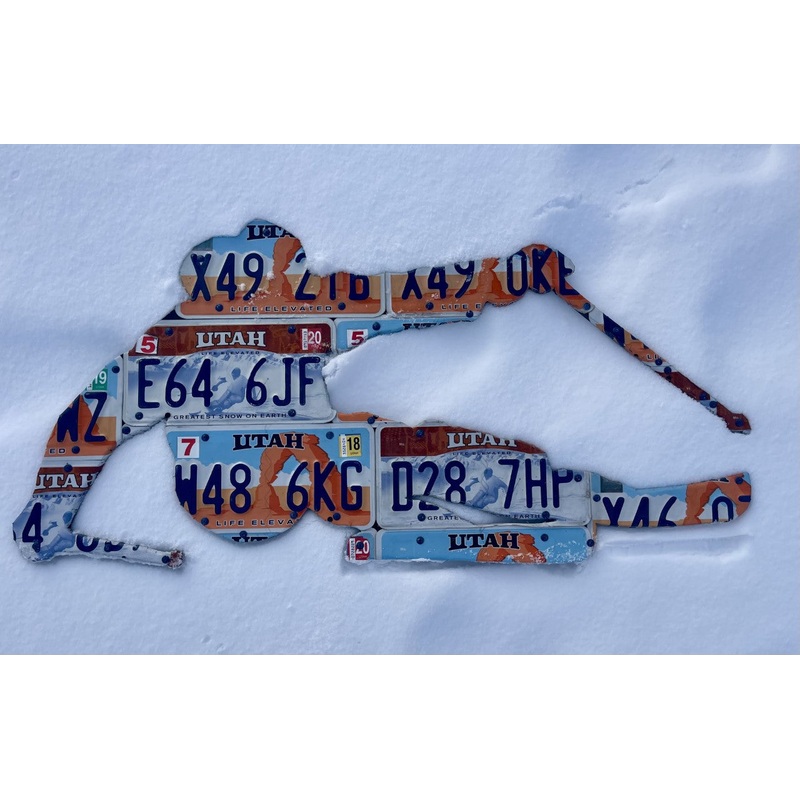 Utah Skier