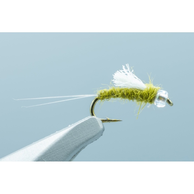 BH RS2 Olive – 1 Doz. #18