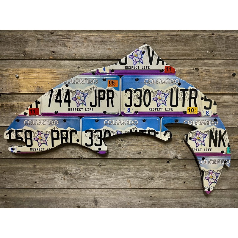 Colorado Columbine Trout License Plate Art