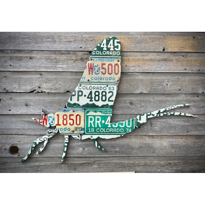 Colorado Mayfly License Plate Art