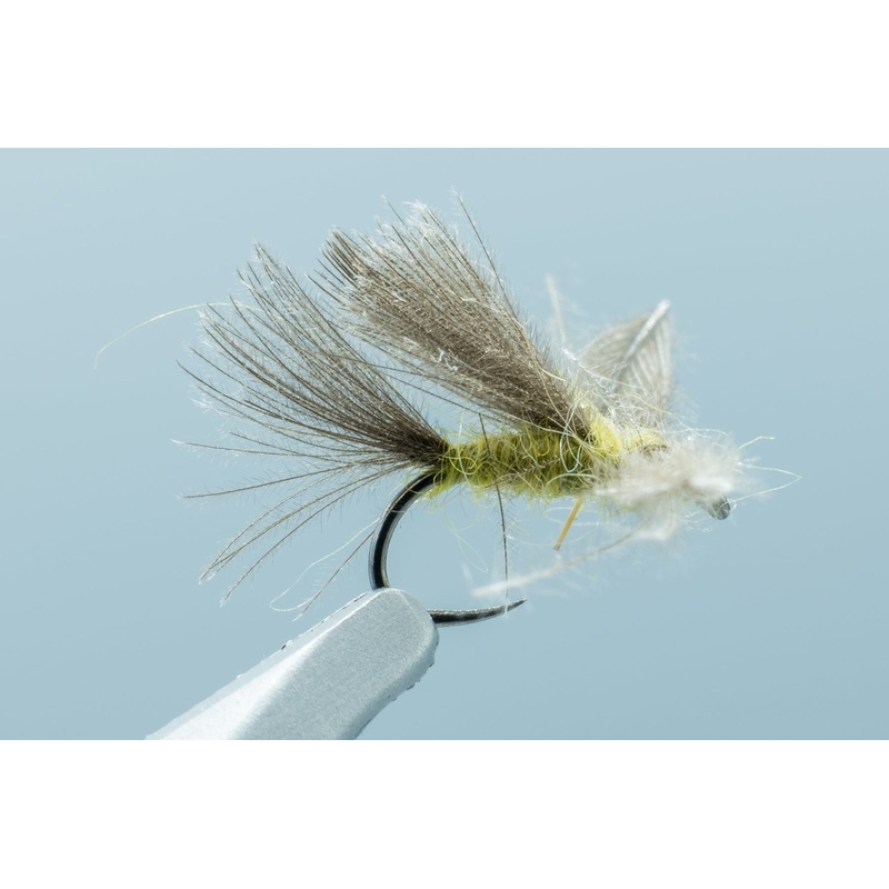 Elden’s CDC BWO Emerger BL #18