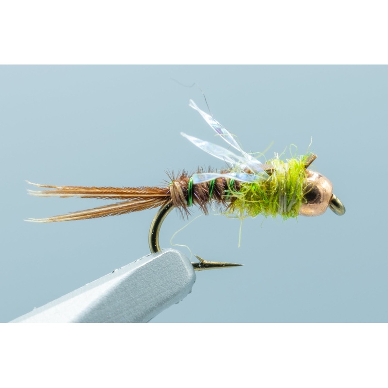 Hogan Olive – 1 Doz.