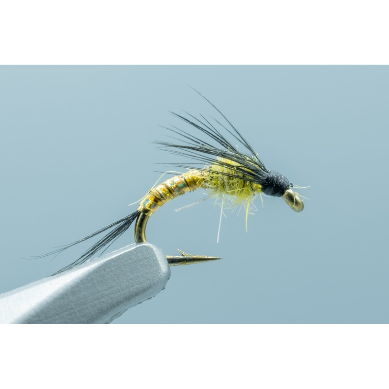 Lightning Bug Gold Curved – 1 Doz.