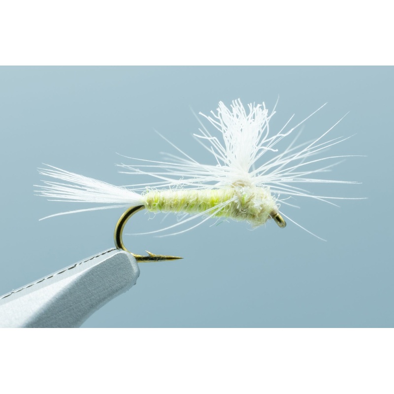 Parachute PMD – 1 Doz.