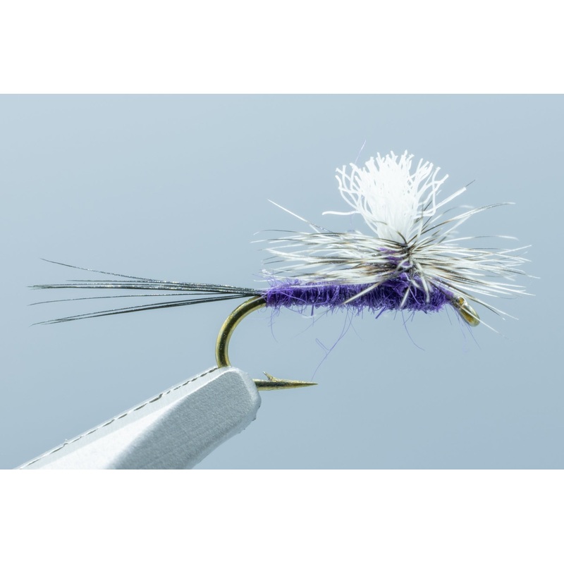 Parachute Purple Haze – 1 Doz.