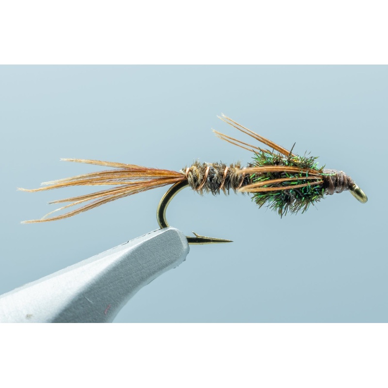 Pheasant Tail F/B – 1 Doz.