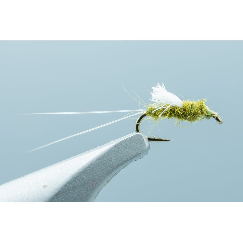 RS2 Olive – 1 Doz. #18