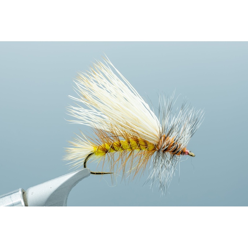 Stimulator Yellow/Orange – 1 Doz.