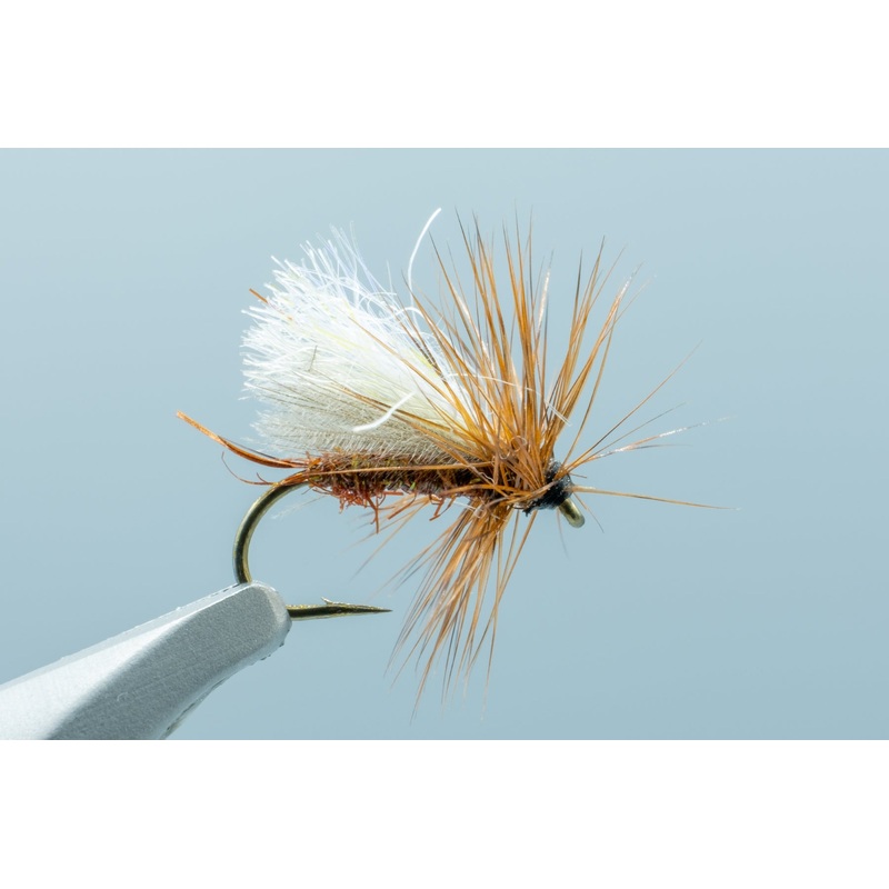 Tightline Caddis Brown #14