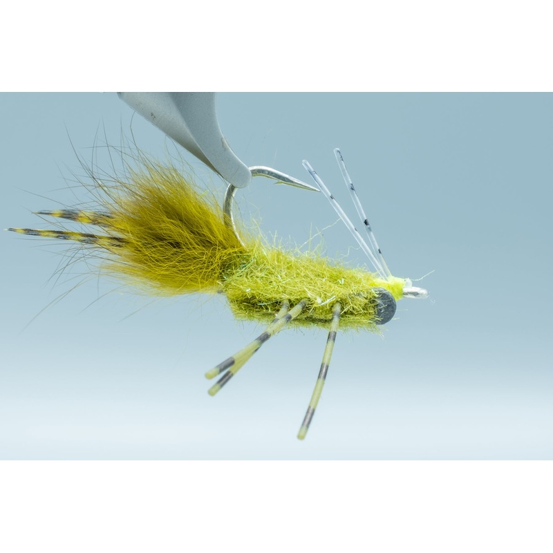 Colby’s Casa Blanca Raghead Olive