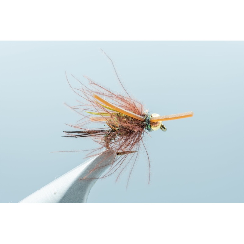 CDC Prince Olive #16