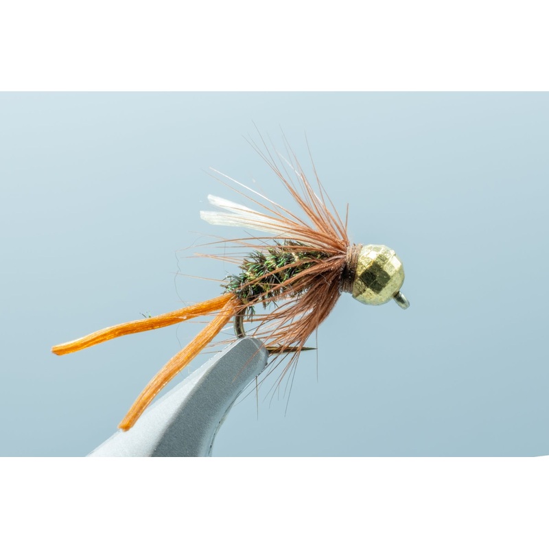 Fastwater Prince #14