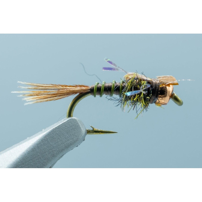 Hogan S&M Nymph Olive