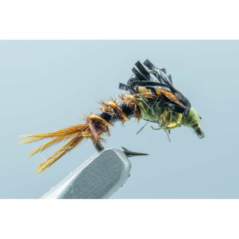 Loop Wing Micro May #18
