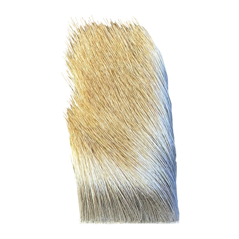 Select Bull Elk Natural 2X3