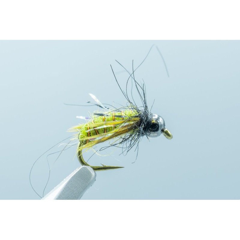 Super Pupa Morrish Olive #14